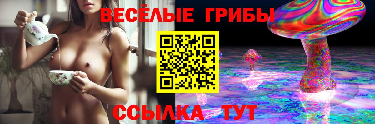 Псилоцибиновые грибы Psilocybe Южно-Сахалинск